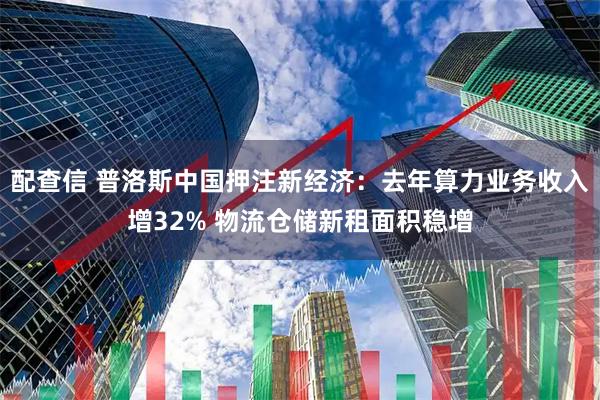 配查信 普洛斯中国押注新经济：去年算力业务收入增32% 物流仓储新租面积稳增