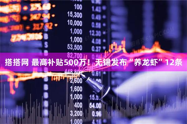 搭搭网 最高补贴500万！无锡发布“养龙虾”12条