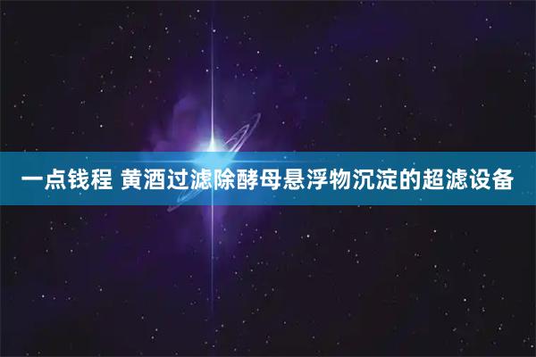 一点钱程 黄酒过滤除酵母悬浮物沉淀的超滤设备