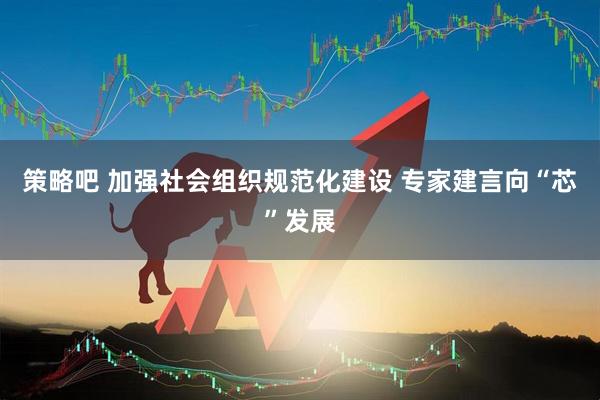 策略吧 加强社会组织规范化建设 专家建言向“芯”发展