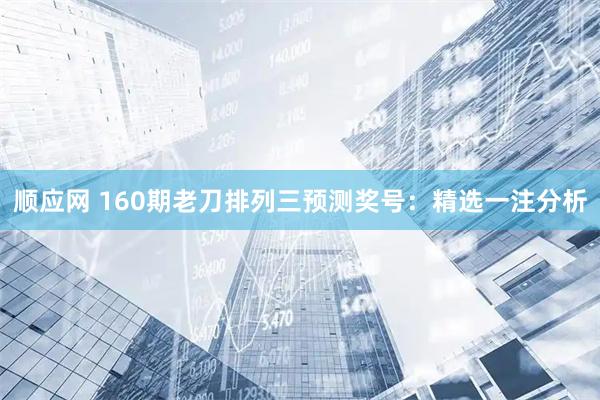顺应网 160期老刀排列三预测奖号：精选一注分析
