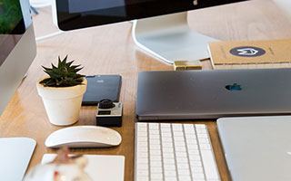 神农集团(605296.SH)：2月公司销售生猪28.14万头，销售收入4.24亿元